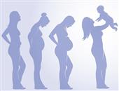 孕中期的饮食要如何对待?