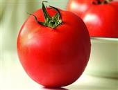 男性吃西红柿有助提高生育力