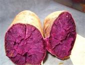 如何辨别真假的紫薯