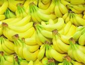 吃香蕉可防治便秘 如何选购好香蕉