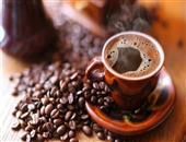 长期大量喝咖啡易导致骨质疏松