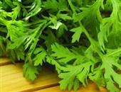 坚固牙齿必知的食材类型