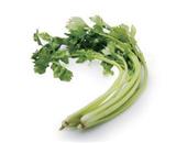 巧用芹菜6大药用功效制作养生食疗