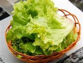 换季易患病 多吃点这些药用菜
