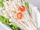 抗癌降血脂 金针菇的7大功效