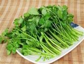 吃香菜能为肾脏排毒 香菜的食用功效