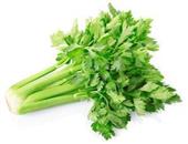 芹菜的营养价值与功效作用分析