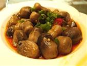 多吃菇类食物既健康又营养