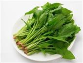 菠菜挑选技巧：看叶不看根