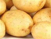 土豆和胃调中 胃病心脏患者保健佳品