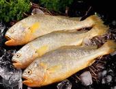 夏季适合吃10种鱼 美味肥美营养丰富