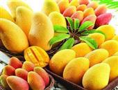 热带水果之王 芒果的营养价值与功效