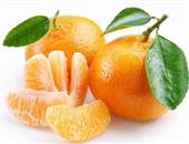 橘子可预防3种疾病 哪些人不能吃橘子