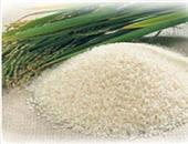 大米滋补糯米排毒 6种米的营养盘点
