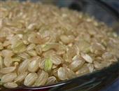 糙米膳食纤维 抑制糖尿病罕见功效