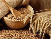 大麦和小麦的不同营养价值