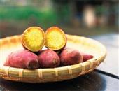 长寿食品 美味红薯的营养功效