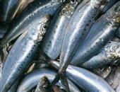 唐嫣突发心脏抽搐  盘点十大养护心脏食物