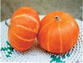 秋季排毒减肥蔬菜 促循环消肿