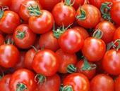 西红柿减肥法  款款美味让你吃着瘦