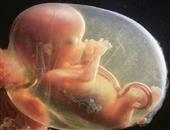 孕前营养影响胎儿发育备孕饮食4准4不准