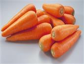 每天吃胡萝卜不会患肺癌