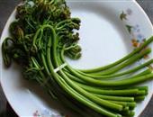 蕨菜的功效与作用_蕨菜的营养价值_蕨菜的适合体质