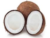 椰子的选购_椰子的存储_椰子的保存方法_椰子的食用方法