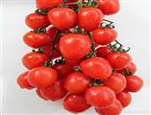 樱桃番茄的功效与作用_营养价值_适合体质_食用禁忌