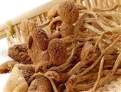 茶树菇功效多 健脾养胃防癌症