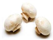 白蘑菇是营养最丰富的“超级蘑菇”