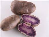 紫馬鈴薯