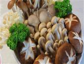 菌菇的功效作用_菌菇的营养价值