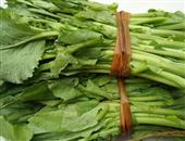 菜苔的功效与作用_菜苔的适合体质_如何挑选菜苔_菜苔的保存方法
