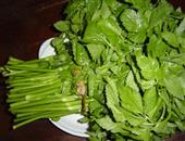 水芹菜的选购技巧_水芹菜的存储_水芹菜的食用方法