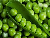 豌豆的功效与作用_豌豆的营养价值_豌豆的适合体质