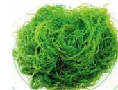 保健饮食：海藻可以预防心脏病