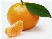 橘子的选购技巧_桔子的使用效果_桔子的储存方法_桔子的相关说明