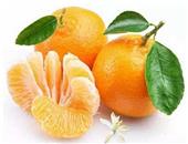 柑橘的营养价值与作用