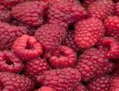 山莓的功效与作用_山莓的营养价值