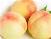 水蜜桃的功效与作用_水蜜桃的营养价值_水蜜桃的食用禁忌