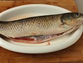 草魚怎么做 好吃又簡單 草魚的營養價值有哪一些