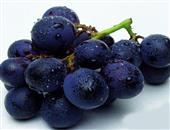 饮食补血水果之——葡萄