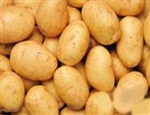 每日一土豆 养胃防中风