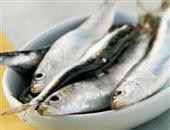 沙丁鱼提高人体免疫 9大增寿食物推荐