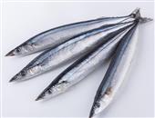 秋刀鱼的功效与作用_秋刀鱼的营养价值