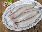龙头鱼主要价值_龙头鱼食物营养成分