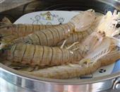 琵琶虾的营养价值