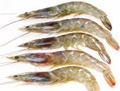 青虾的功效与作用_青虾的食用禁忌_青虾的适合体质