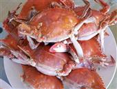 高蛋白食补佳品螃蟹